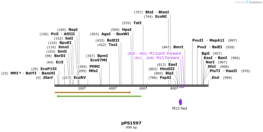 79625_map