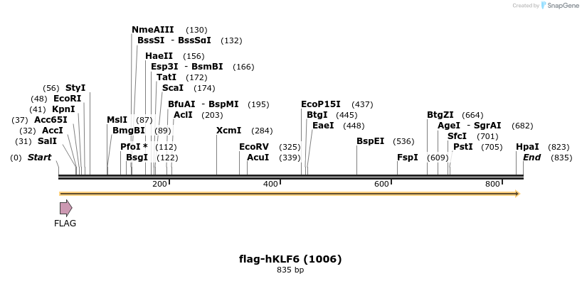 79626_map