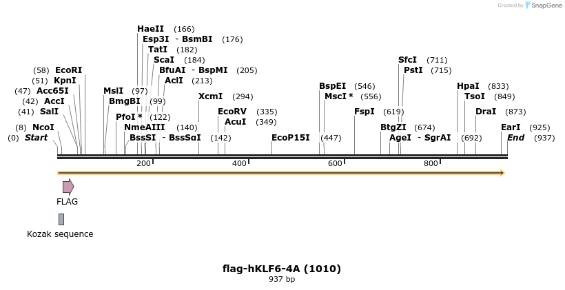 79627_map