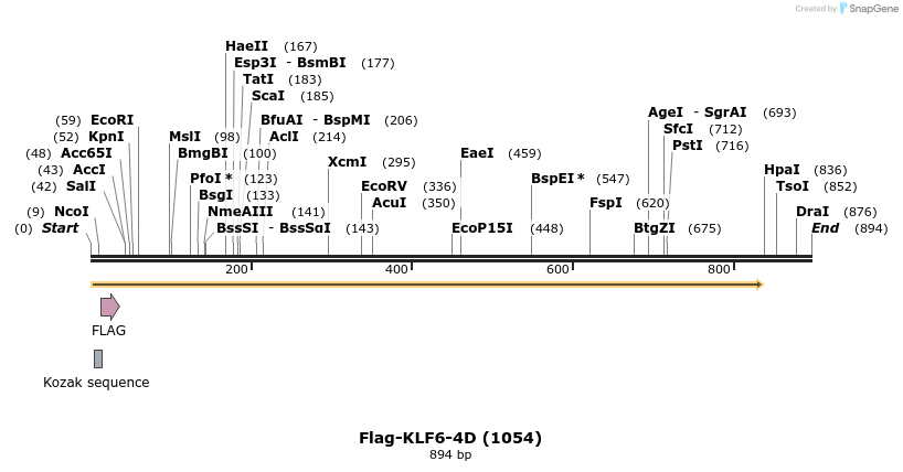 79628_map