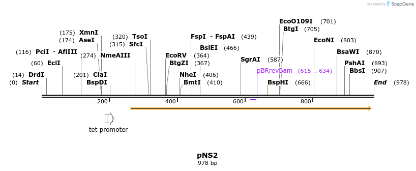 79629_map