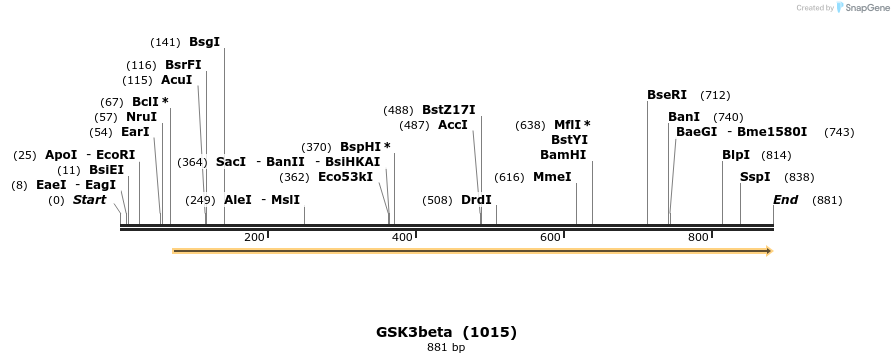 79630_map