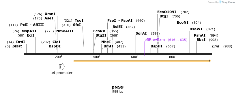 79634_map