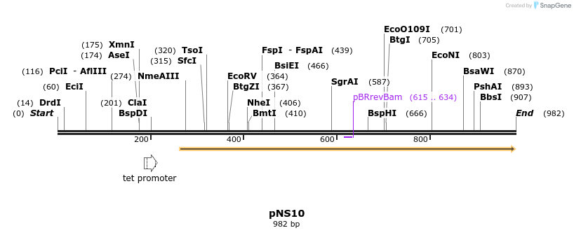 79636_map