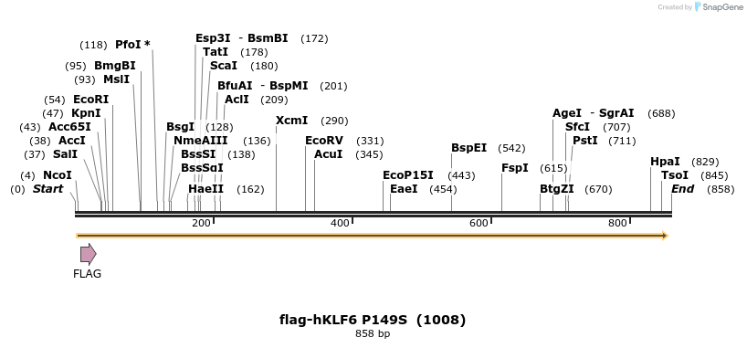 79639_map