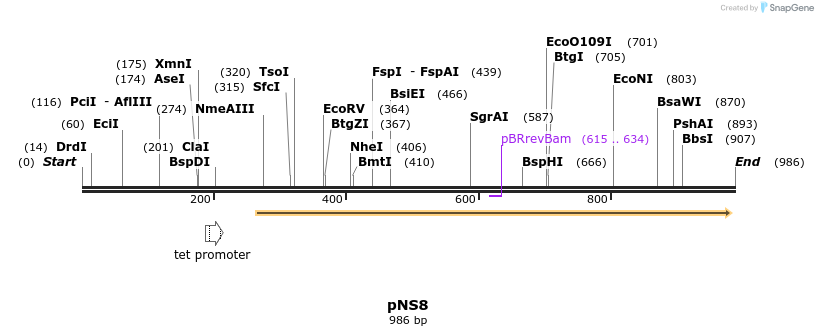 79643_map