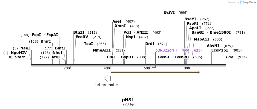 79644_map