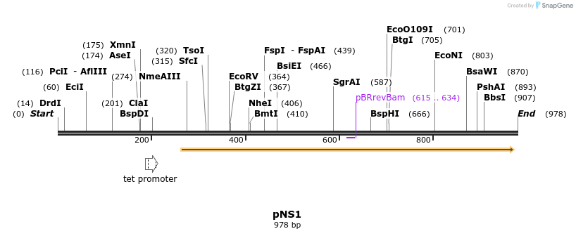79645_map