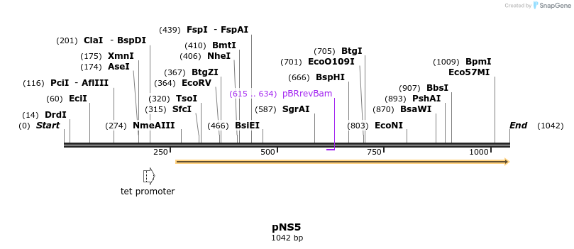 79647_map