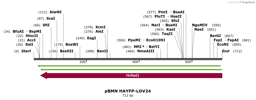 79673_map