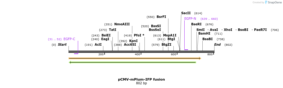 79675_map