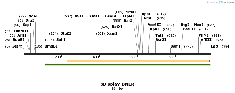 79678_map