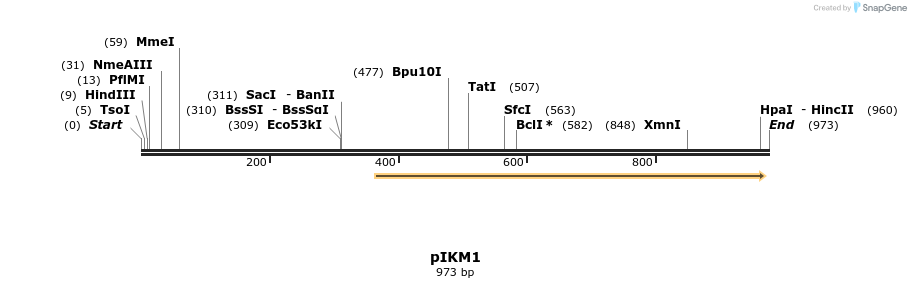 79680_map