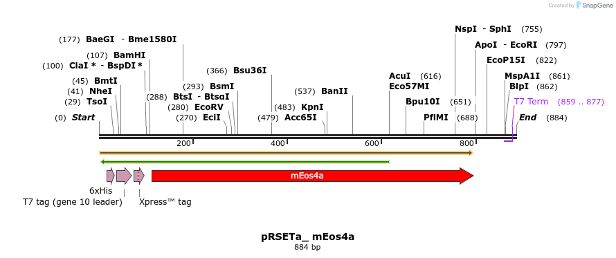 79685_map