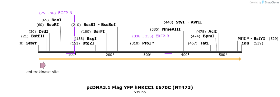 79689_map