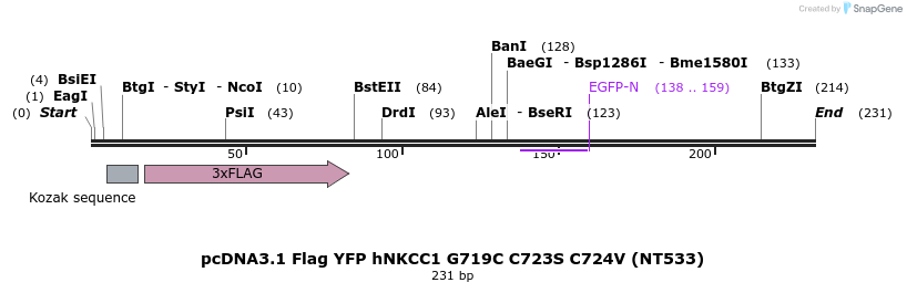 79691_map