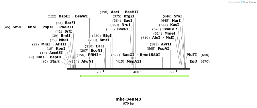 79693_map