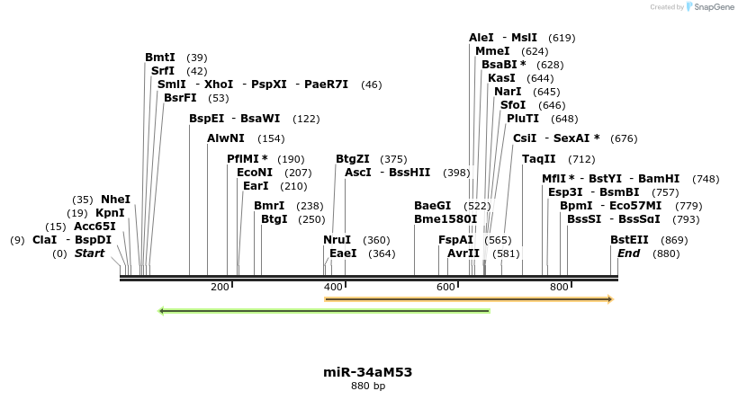 79695_map