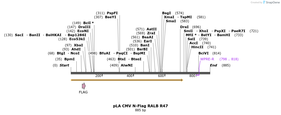 79697_map