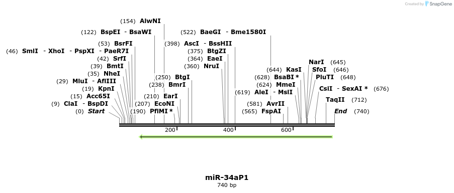 79698_map
