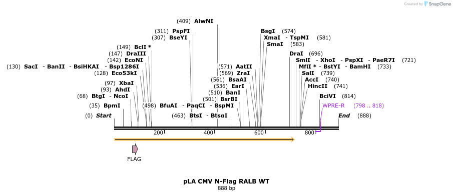 79700_map