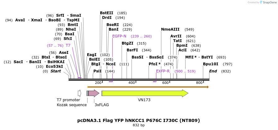 79701_map
