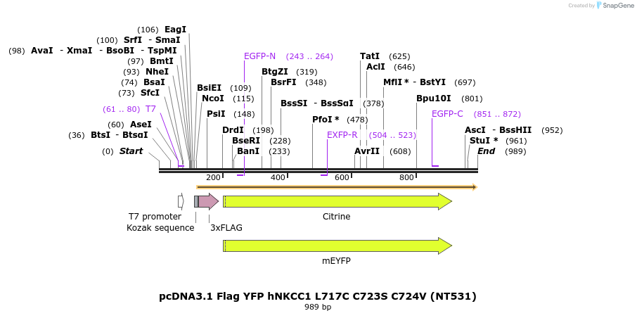 79702_map