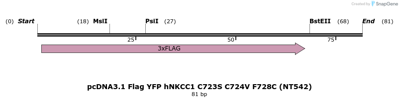 79706_map