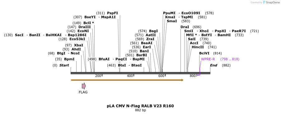 79707_map