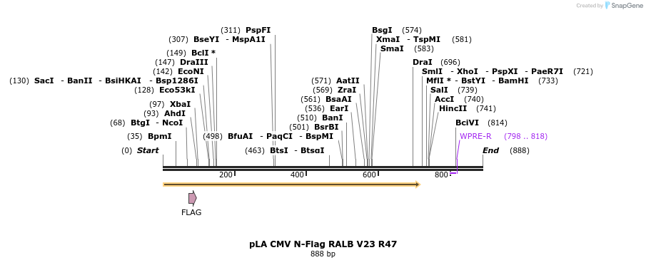 79711_map