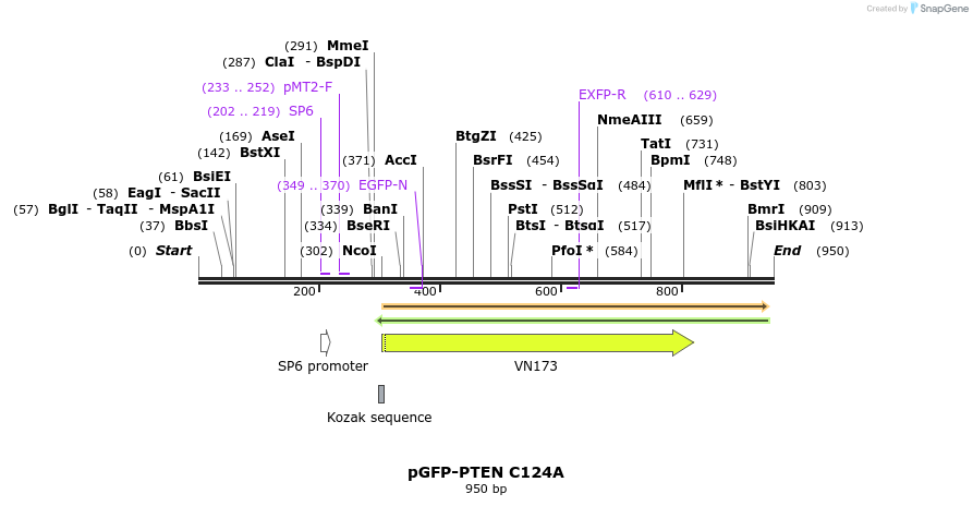 79716_map
