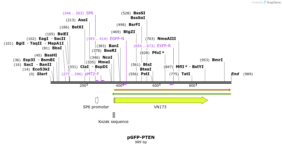 79718_map