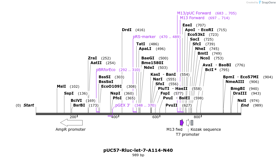 79719_map