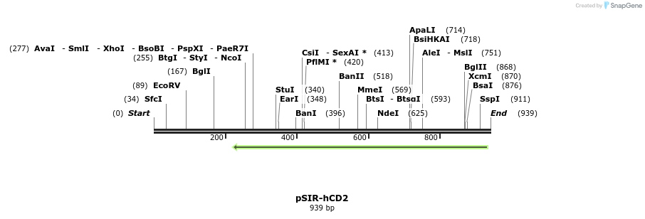 79723_map