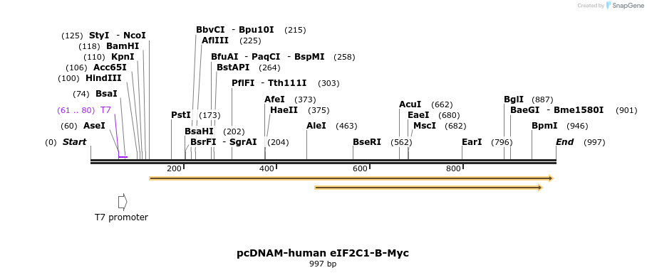 79726_map