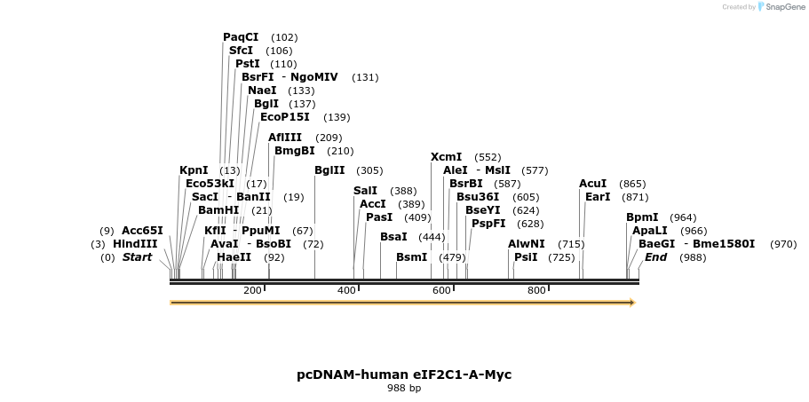 79727_map