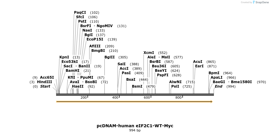 79728_map