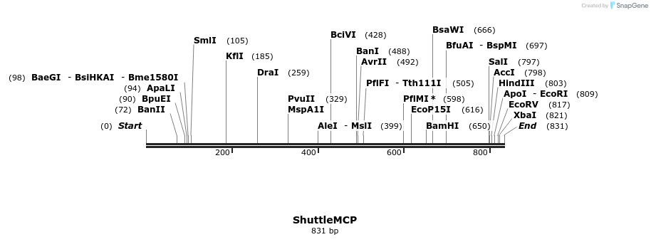 79731_map