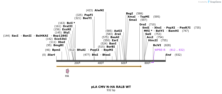 79733_map