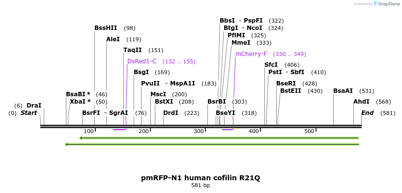 79734_map
