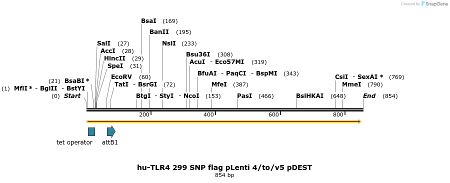 79744_map