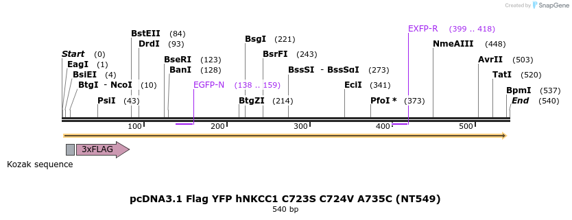 79755_map