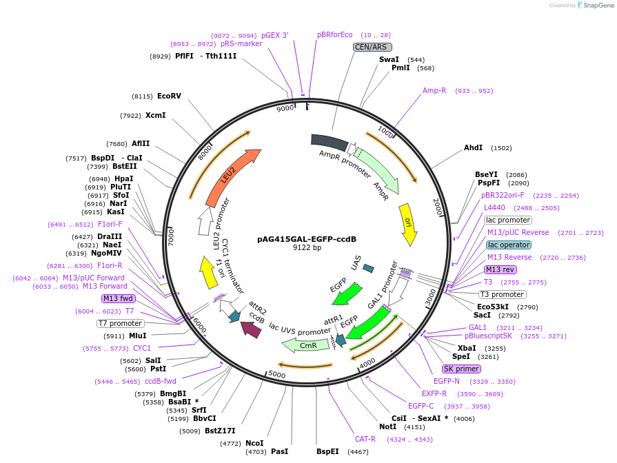 7976_map