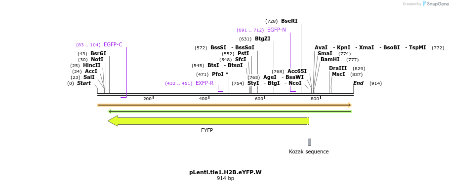 79762_map