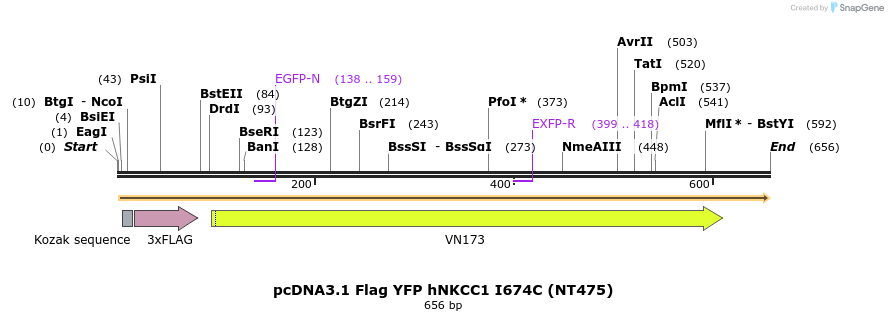 79765_map