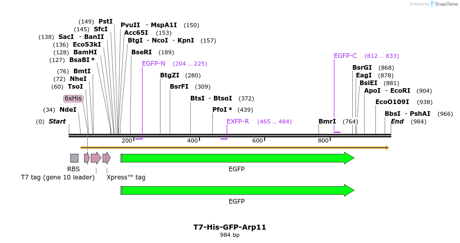 79767_map