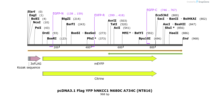 79769_map