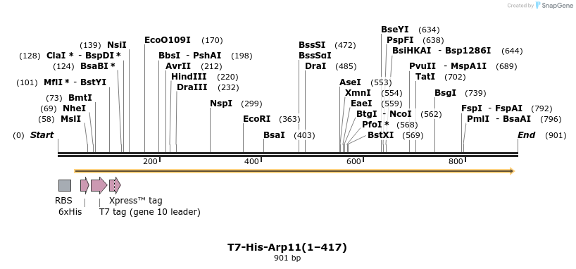 79770_map