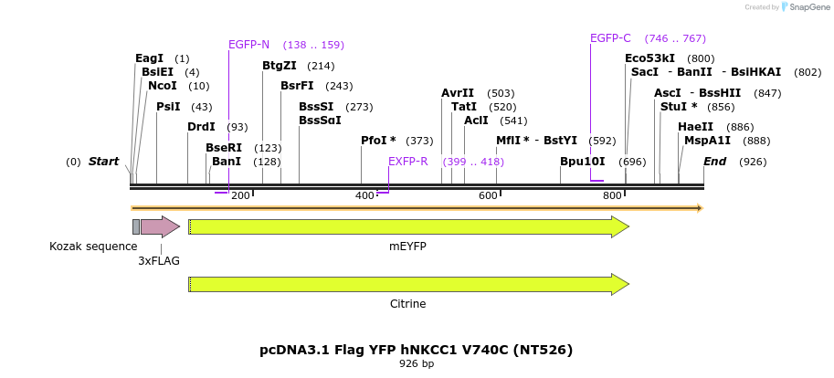 79771_map