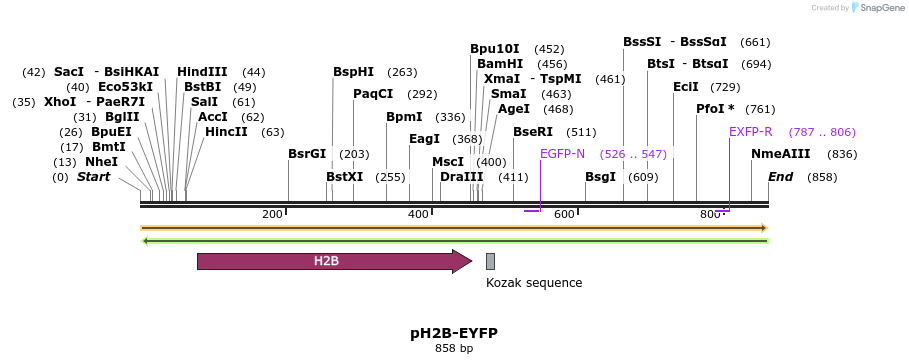 79773_map